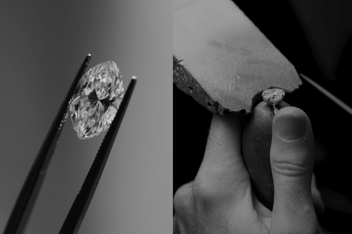 The Hands That Shape, The Hands That Give