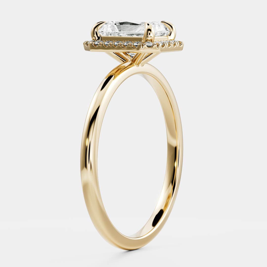 The Vienna Ring - Radiant Halo