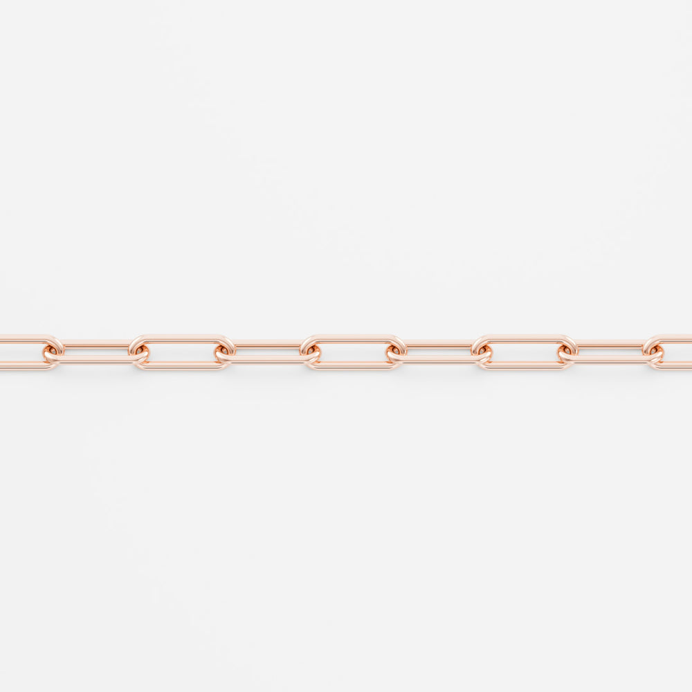 
                      
                        The Fine Paperclip Chain
                      
                    