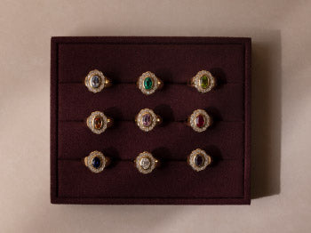 Fine Rings