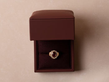 Fine Rings