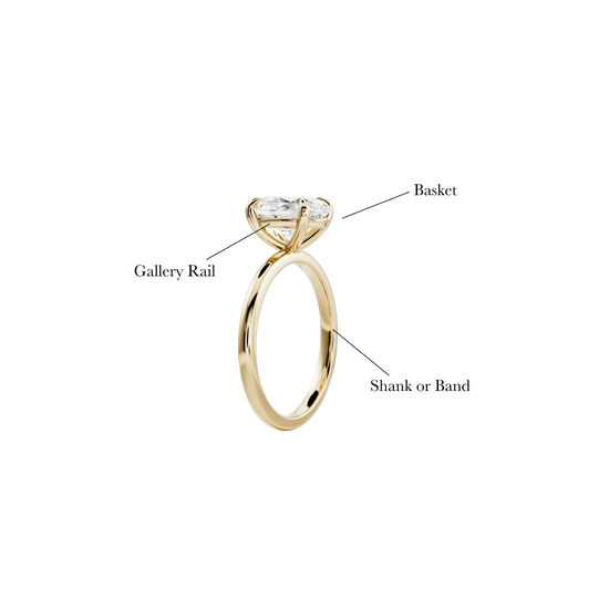 Ring Cell Part Anatomy Of A Ring – TMC Fine Jewellers
