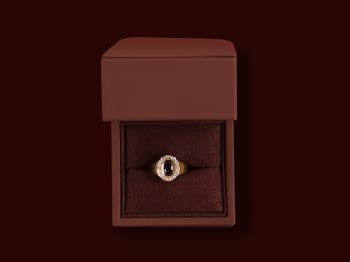 Fine Rings
