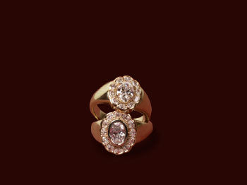 Fine Rings
