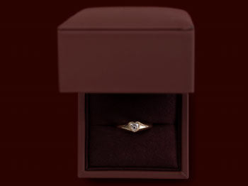 Fine Rings