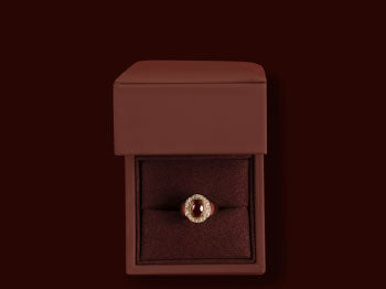 Fine Rings
