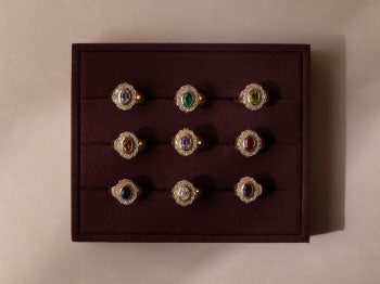 Fine Rings
