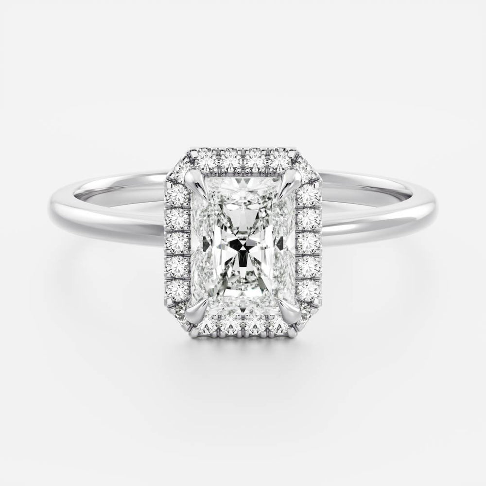 
                      
                        The Vienna Ring - Radiant Halo
                      
                    