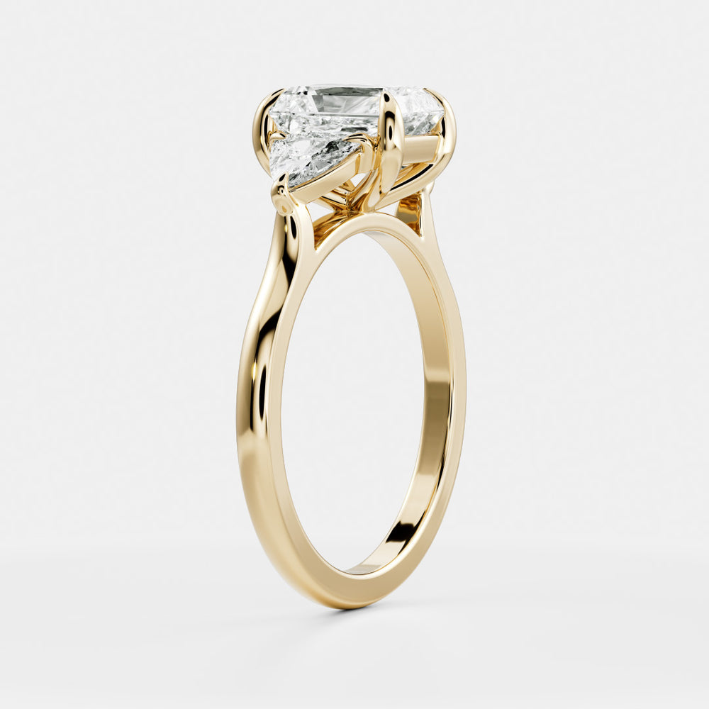 
                      
                        The Noa Ring - Radiant and Trilliant Trilogy
                      
                    