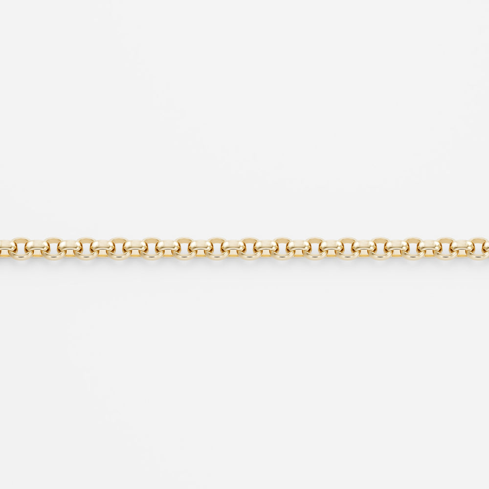 
                      
                        9k Yellow Gold Petite Belcher Chain
                      
                    