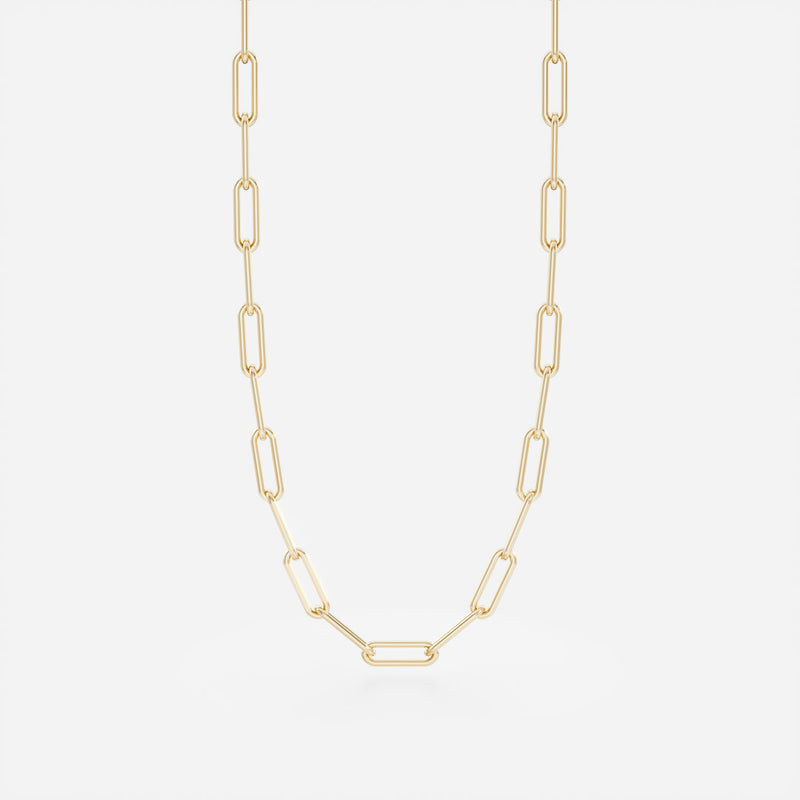 The Fine Paperclip Chain