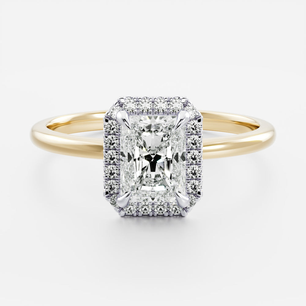 
                      
                        The Vienna Ring - Radiant Halo
                      
                    